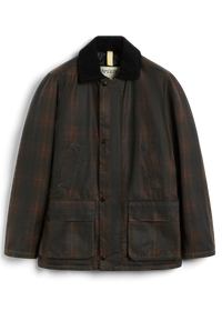 Curtis – Brown Tartan